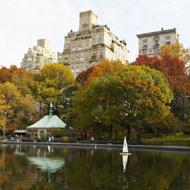 It's possible to catch glimpses of nature anywhere - even in Manhattan