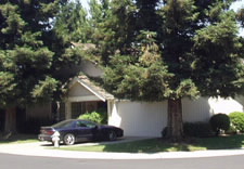 Image of house and garage shaded by trees. Click for larger image.
