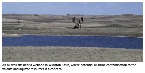 oil wells near wetland area