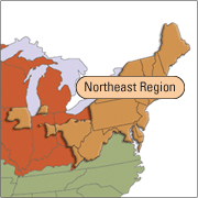 Northeast Region