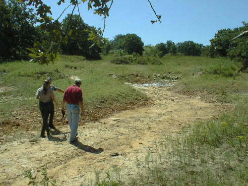 View from the lower part of the salt