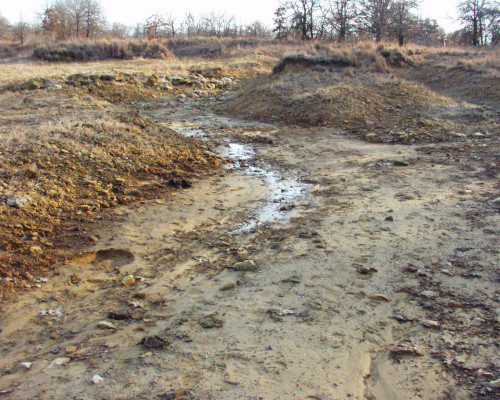 Winter photo of salt-scar area