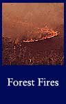 Forest Fires (ARC ID 548591)