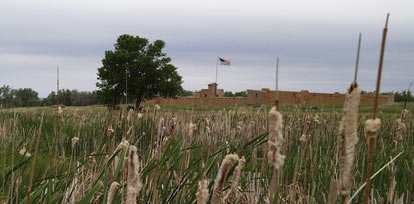 Picture of fort from the marsh