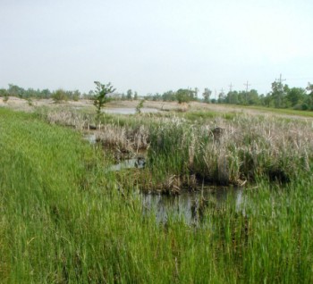 Wetlands draining mined in areas south of Pitcher