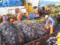 photo of trawl net being measured