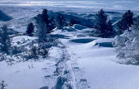 Snowshoeing is one way to experience the snow covered winter landscape of Fossil Butte National Monument.  Pictured here are snowshoe tracks along Cundick Ridge.