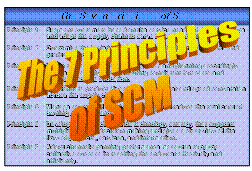 The 7 Principles of SCM