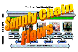 Supply Chain Flows