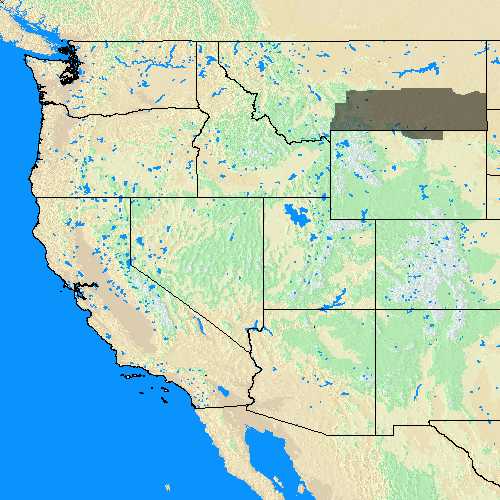 Domain Coverage for Billings, MT