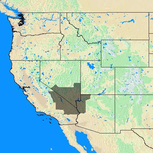 Domain Coverage for Las Vegas, NV