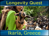 Longevity Quest