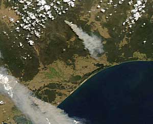 NASA image of wildfire smoke plume.