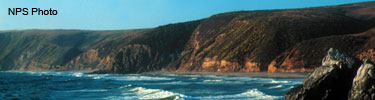 Tomales Point and surf as seen from McClures Beach