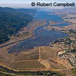 Aerial photo taken on October 29, 2008, of the flooded Giacomini Wetlands. © Robert Campbell