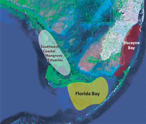 Map showing general location of cores: southwest coastal mangroves, florida bay, and biscayne bay