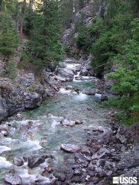 Bridgecreek, a tributary of the Stehekin river.