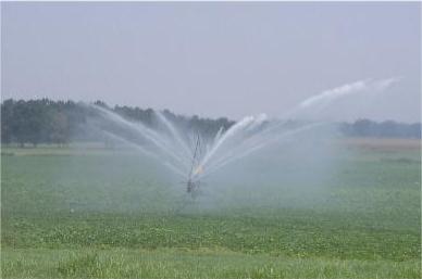 Photograph of an irrigation water sprinkler