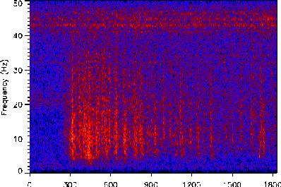 seismic spectrogram