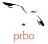 PRBO logo