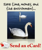 Click here to send an eCard - A free service from the Amputee Coalition of America!