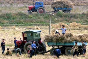 North Korean farm workers use tractors and carts in field near Pyongyang, North Korea, October 13, 2005. [© AP Images]