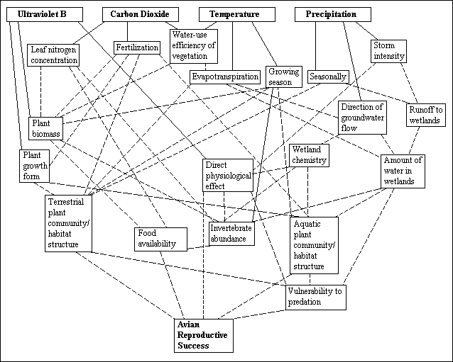 gif -- Flow Chart