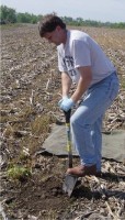 The 40-centimeter (cm) diameter block of soil was then removed from the test field by digging to a depth of about 25 cm within the drawn circle