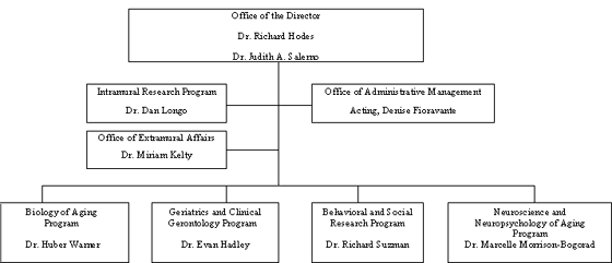 NIA Organization Chart - Office of the Director Dr. Richard Hodes, Dr. Judith A. Selerno; Intramural Research Programs Dr. Dan Longo; Office of Extramural Affairs, Dr. Miriam Kelty; Office of Administrative Management, Acting, Dennis Fioravante; Biology of Aging Program, Dr. Huber Warner; Geriatrics and Clinical Gerontology Program, Dr. Evan Hadley; Behavioral and Social Research Program, Dr. Richard Suzman; Neuroscience and Neuropsychology of Aging Program, Dr. Marcelle Morrison-Bogorad