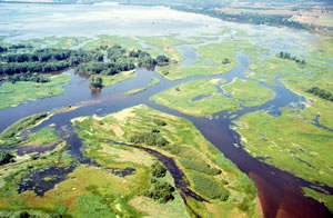 Upper Mississippi River (photo)