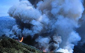 A high-intensity chaparral fire in California. Photo courtesy U.S. Forest Service.