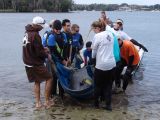 Manatee on stretcher