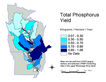 Total Phosphorus yield