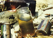 Photograph of standing water in a jar