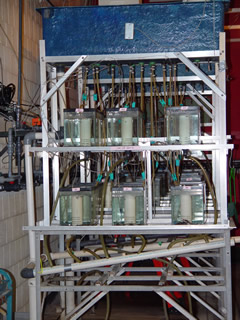 UMESC test system for hydrogen peroxide efficacy trials with fish.