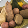 sweet potatoes, red and yellow potatoes, and acorn squash