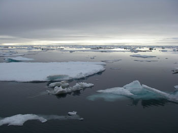 Beaufort Sea ice