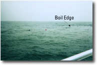 photo showing boil edge