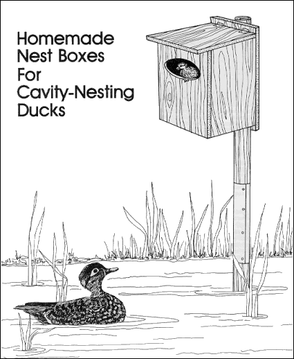 GIF - Nestbox picture
