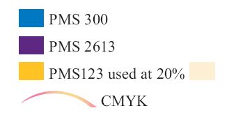 A blue box is PMS 300; a purple box is PMS 2613; a yellow box is PMS 123 used at 20 percent (a paler yellow box). Below is a magenta and yellow arc labeled CMYK.