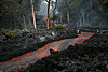 This is one of several lava streams of the Prince Avenue flow slicing through the forest between the cross streets of Paradise and Orchid. The lava stream is about 3 meters (10 feet) wide.