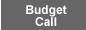 Comprehensive Budget Call (Restricted Access)