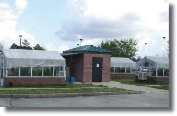 Image of Wetland Elevated CO2 Experimental Facility at the USGS National Wetlands Reserch Center, Lafayette, LA