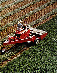 Photo of a farmer plowing his field.