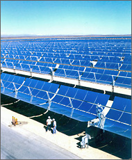 Photo of two men standing in front of a large concentrating solar power system consisting of numerous parabolic troughs.