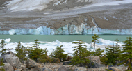 Angel glacier 