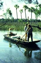 Flat Bottom Boat on Tidal Creek