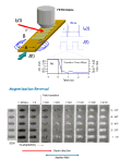 Tailoring the Properties of Magnetic Nanostructures