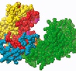 Partial representation of the edema factor structure