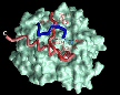 Image of knotted protein.